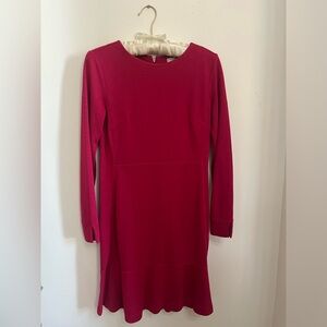 Loft long sleeve dress
